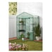 Expert Gardener Walk-in Greenhouse ,PE Green Cover ,2x4 ft