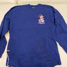 Disney WDW 50th Anniversary Spirit Jersey
