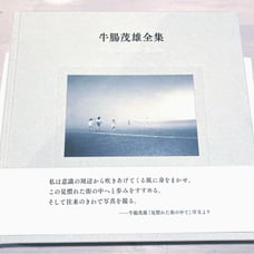 Complete Works of Shigeo Ushino - Collection of Works: Photo Album