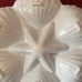 Sigrid Olsen Starfish Clam Shell Pearlized Shaped Melamine Chip & Dip Platter