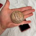 1902 King Edward V11 Commemorative 82 Grams Copper Coin Medal original Box