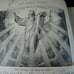 Antique Book 1890's, The Bible Story