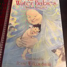 The water babies by Charles Kingsley book 1980s