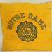 I Love Notre Dame - Pillows - Plate - Mug - Glasses - Sign - Gold & Blue - Irish