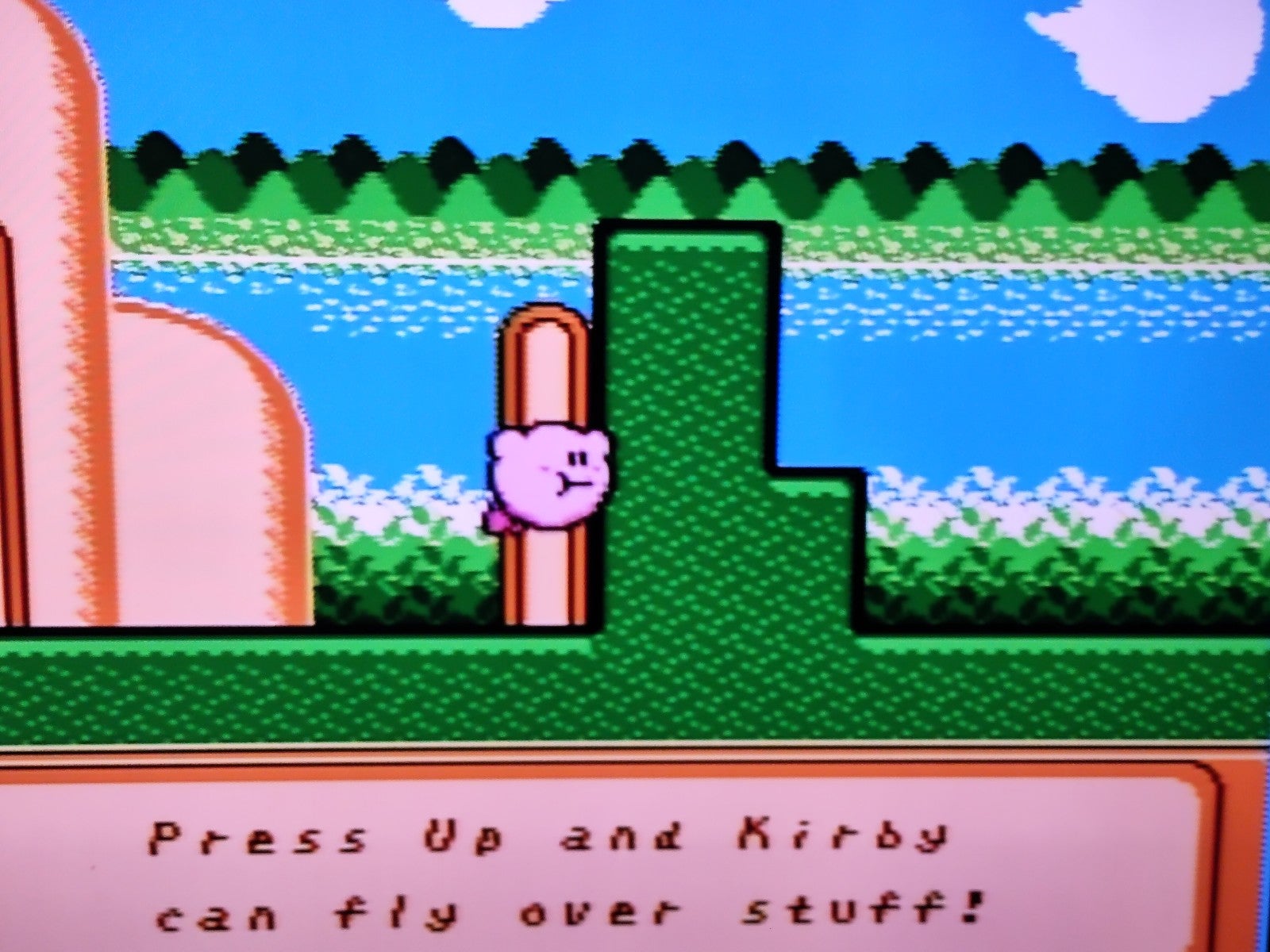 Kirby's Adventure for shops Nintendo NES