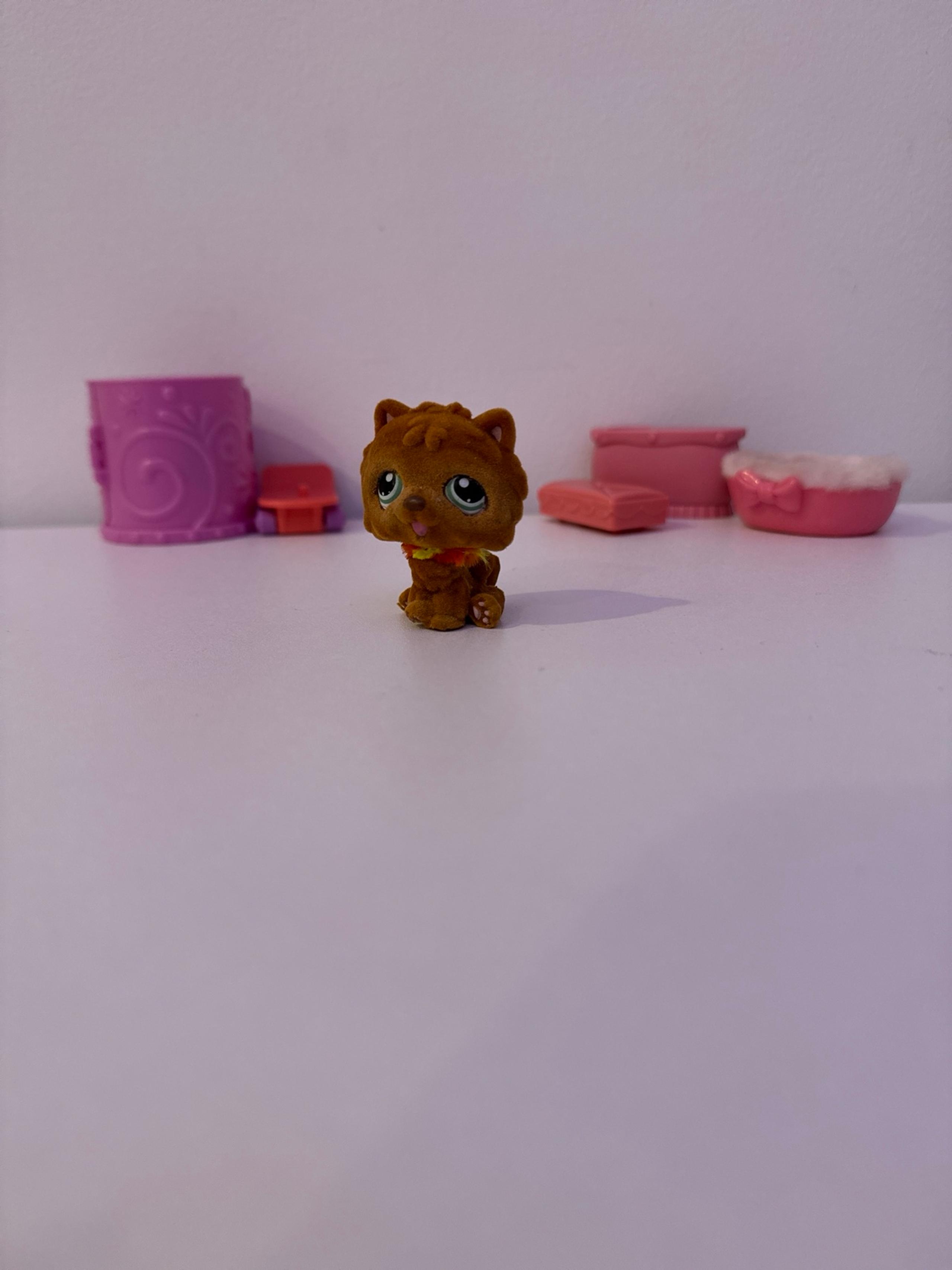 LPS Chow Chow #332