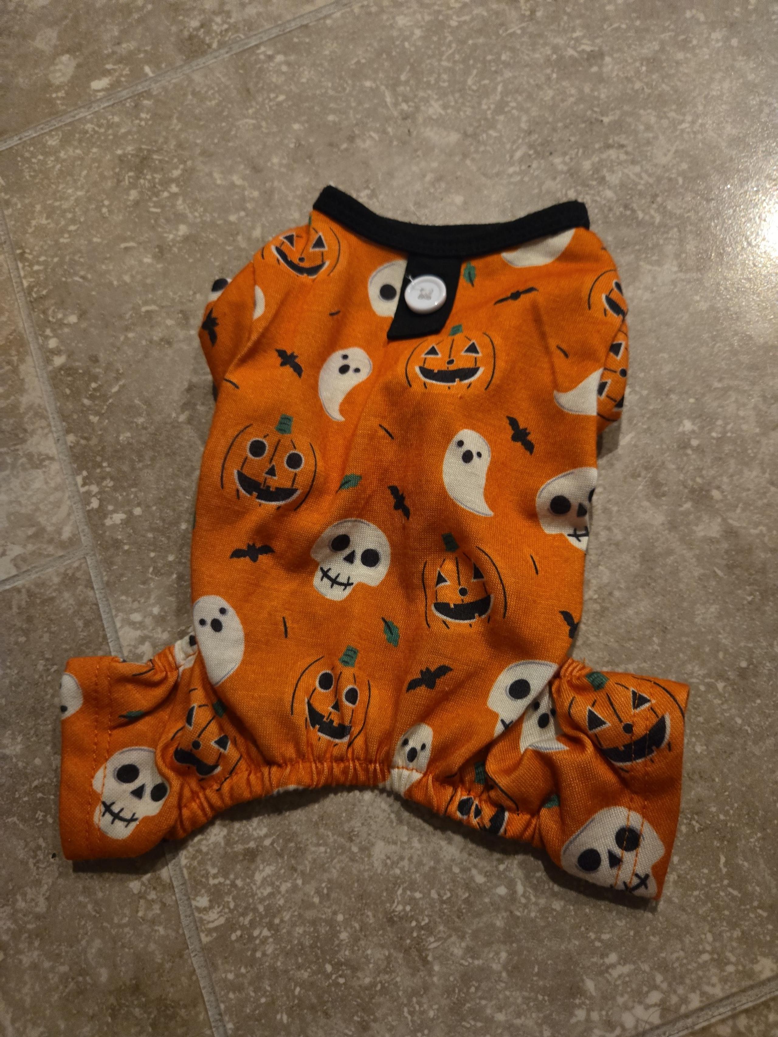 Pet Halloween Onsie