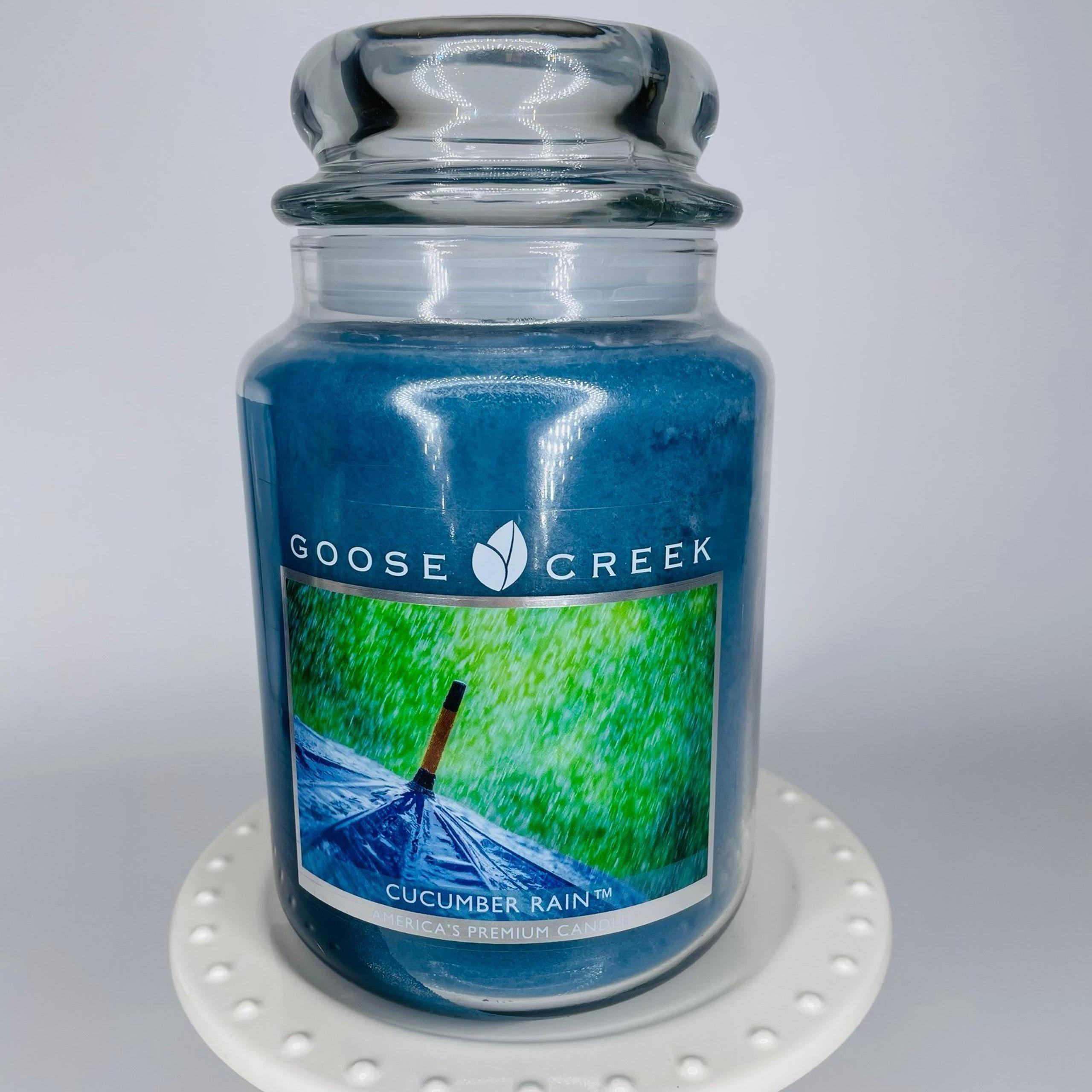 Goose Creek Cucumber Rain Large 2-wick 24 OZ Jar Candle Discontinued NEW Blue