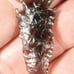 Ancient Semi Translucent Obsidian Arrowhead Southern Oregon 6.73
