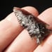 Ancient Semi Translucent Obsidian Arrowhead Southern Oregon 6.73