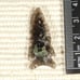 Ancient Semi Translucent Obsidian Arrowhead Southern Oregon 6.73
