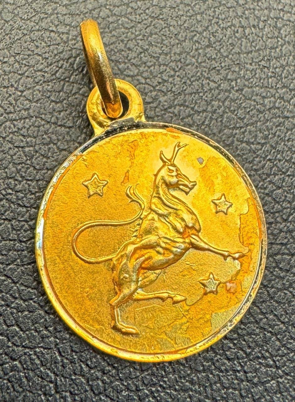 14k solid yellow gold Zodiac Pendant charm