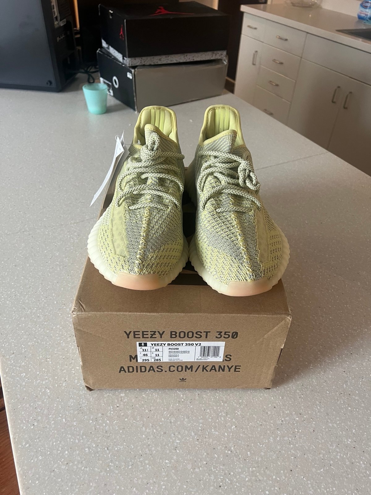 Yeezy 350v2 antlia