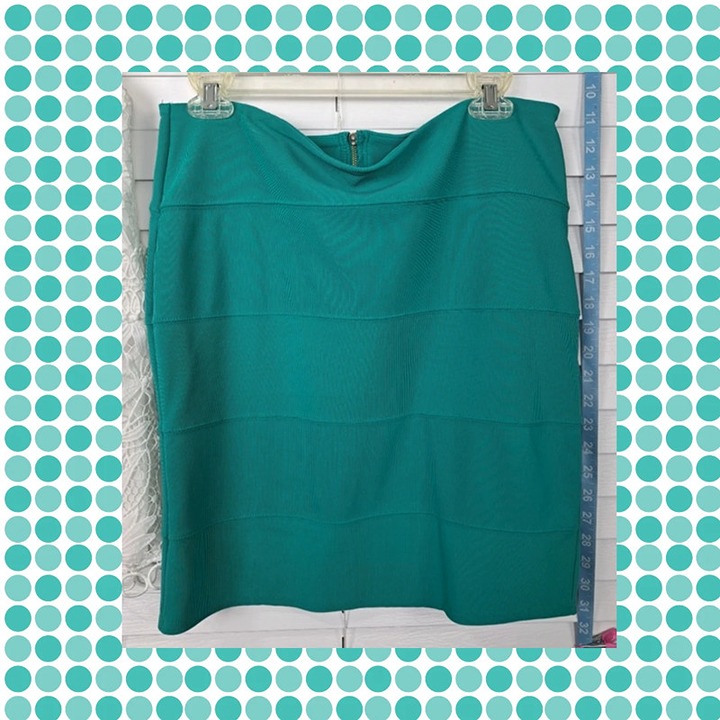 Pink Rose Teal Skirt XL