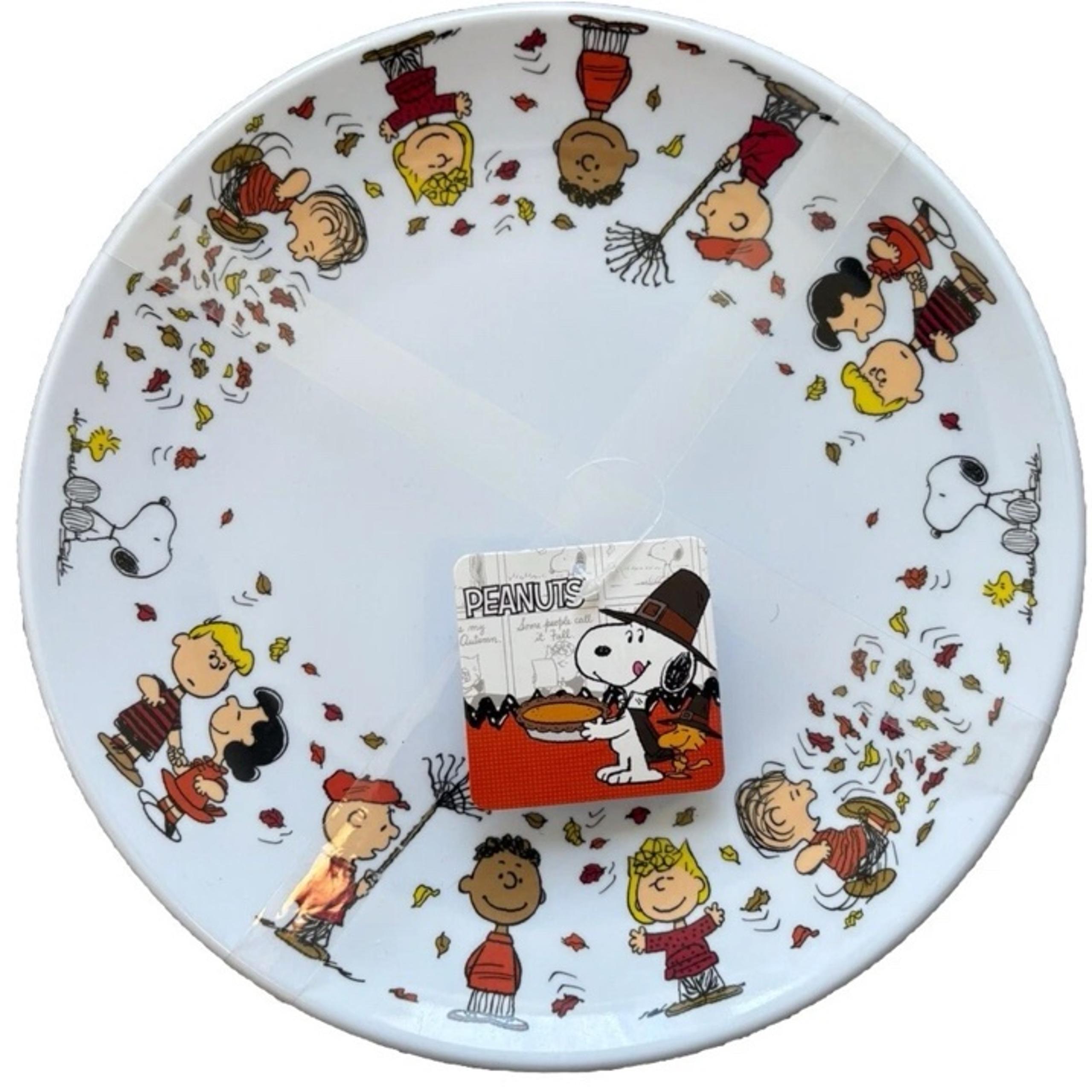 Peanut Snoopy Fall Thanksgiving Dinner Melamine plates set of 4 new