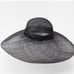 Zara Picture Hat