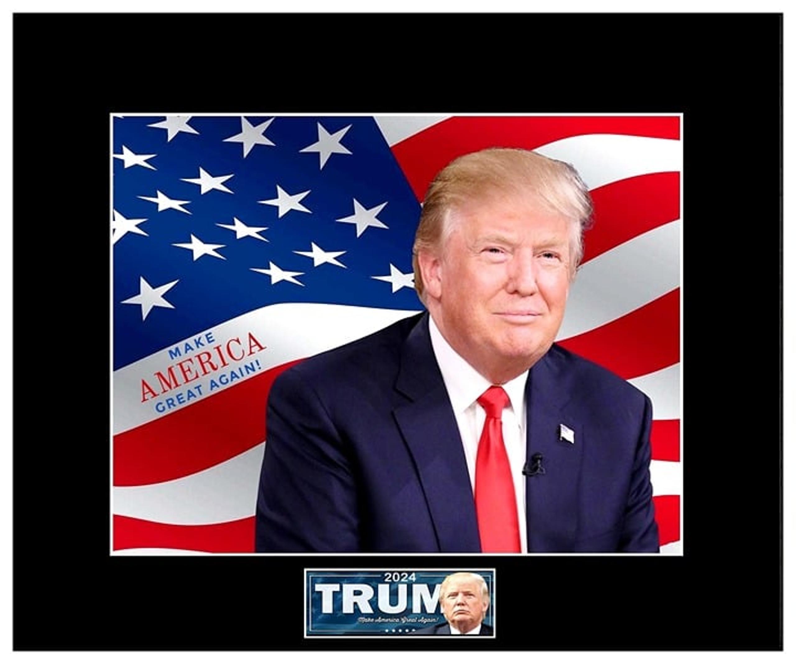 DONALD TRUMP 2024 Presidential Portrait 11" x 14" Photo Mat