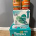 Pampers diapers