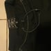 True Religion sweatpants