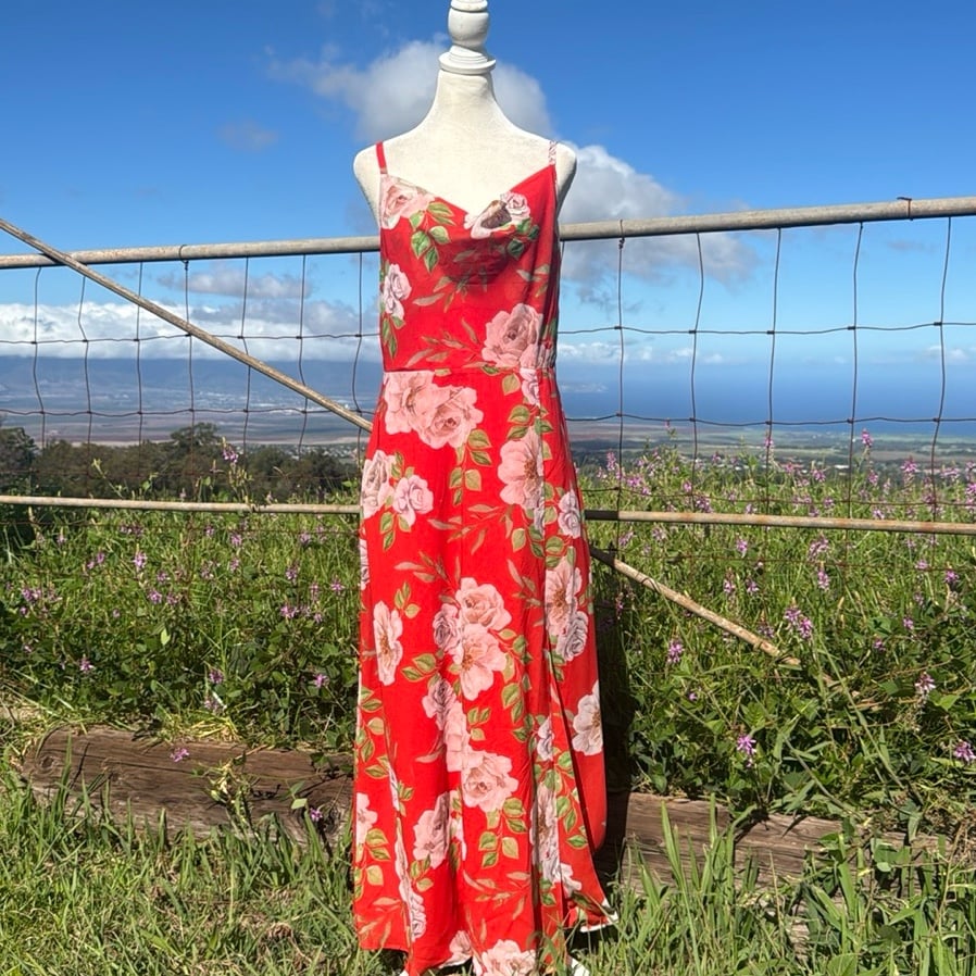 NWT Boston Proper Caliente Floral Print Cowl Neck Slip Maxi Dress 10