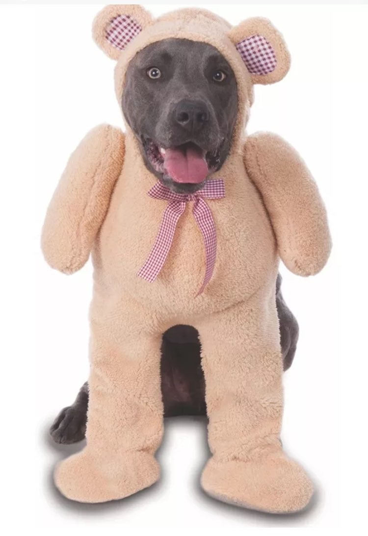 Rubie's Walking Teddy Bear Pet Suit Costume