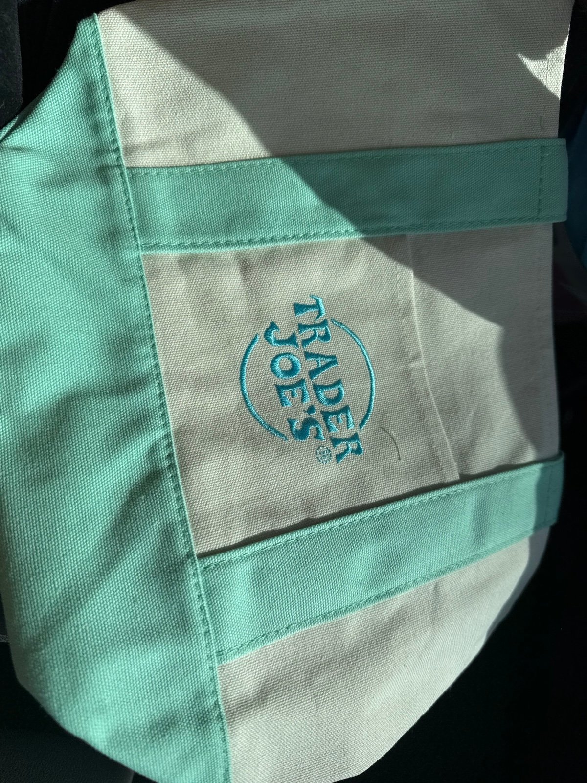 Teal Trader Joe’s mini tote