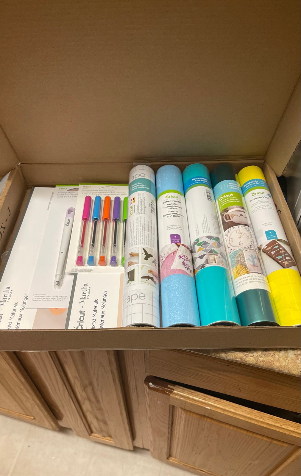 Cricut Tropical Mystery Box