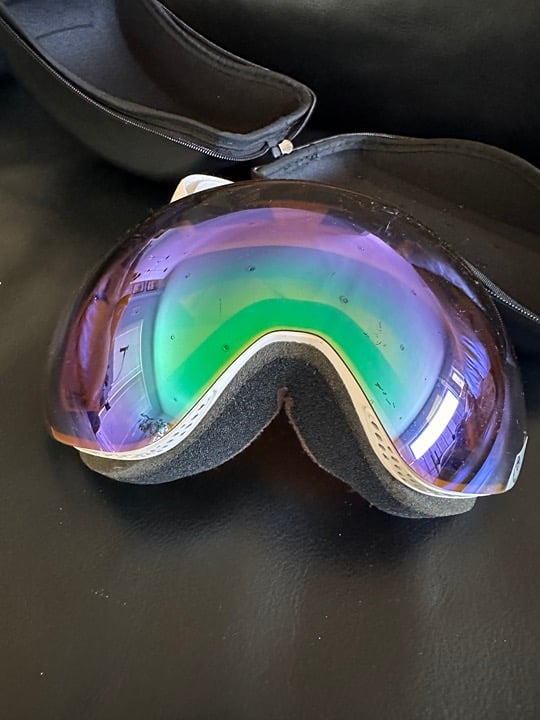 Dragon APX Snow Goggles