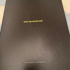 BTS V Kim Taehyung photobppk INTO THE NEVERLAND by Taetaeland