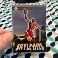1993 Michael Jordan Skylights Card