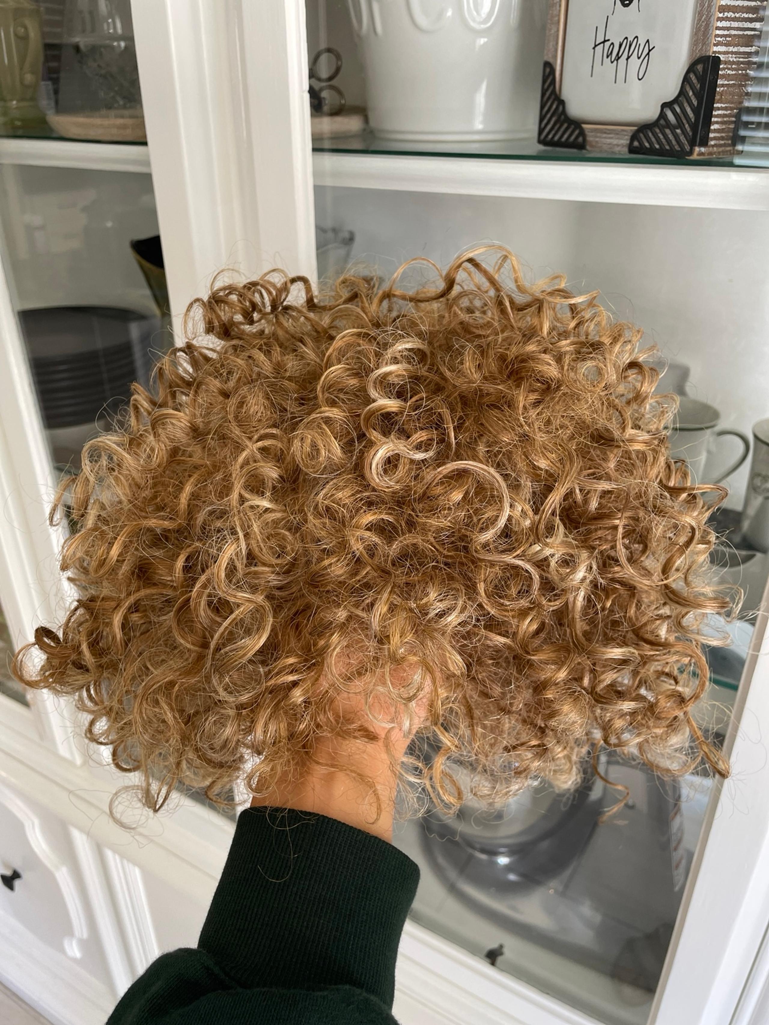 Short curly hair Bobbi Boss Midway wig