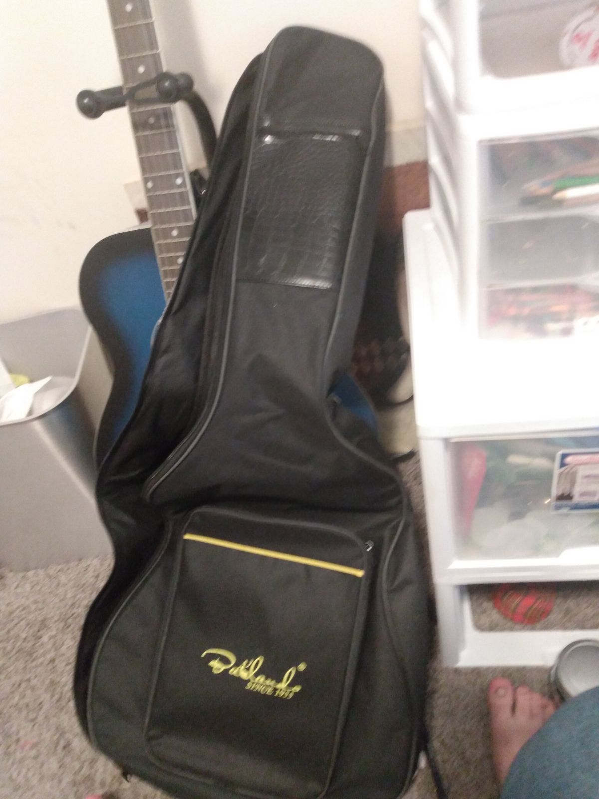 Guitar