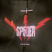 Spider Hoodie