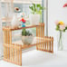 Natural Bamboo Indoor Plant Stand for Desk, 2 Tier Desktop Shelf Organizer Rack