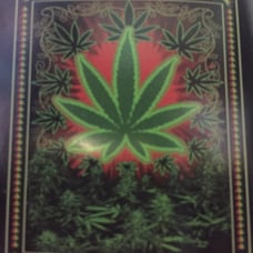 Quen size blanket