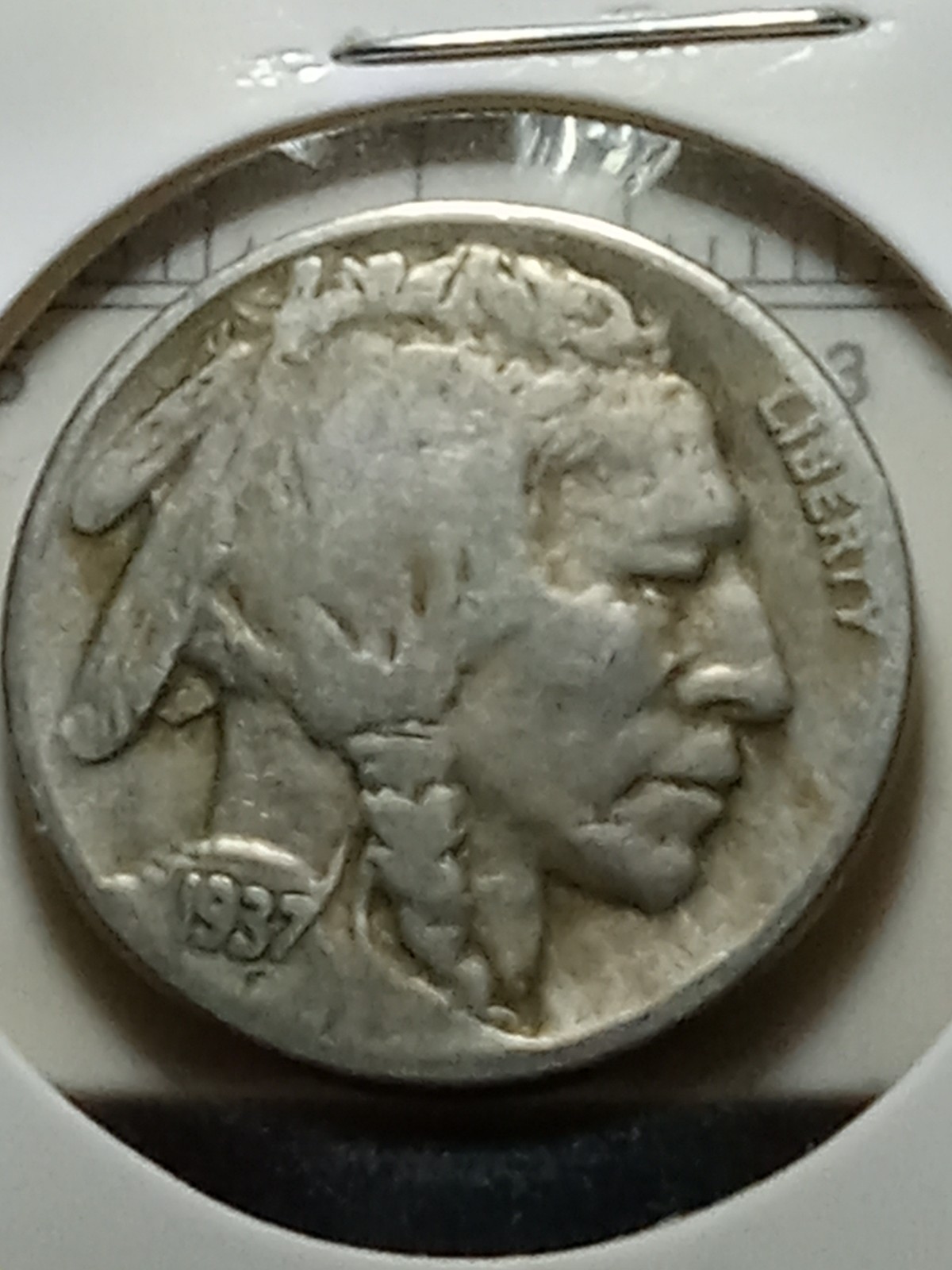 1937-D Denver 5c buffalo nickle