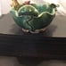 Pottery Frog Water Lilies Signed Planter/ Bowl