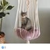 Cat hammock