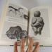The Emergence of Man John E. Pfeiffer 1969 Illustrated HCDJ Book Club Edition
