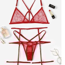 Sexy red lingerie set