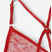 Sexy red lingerie set