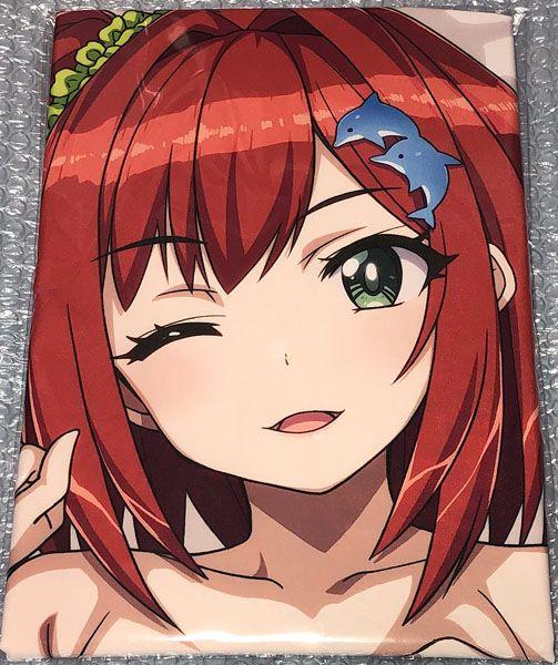 Authentic Dolphin Wave Sakamiya Iruka Hugging Pillow Cover B/Fuji Asamado Aoi Manabu