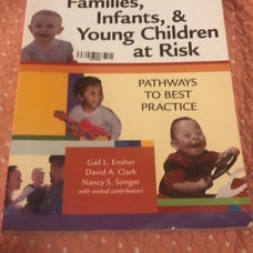 Families, Infants, and Young Children at Risk Textbook