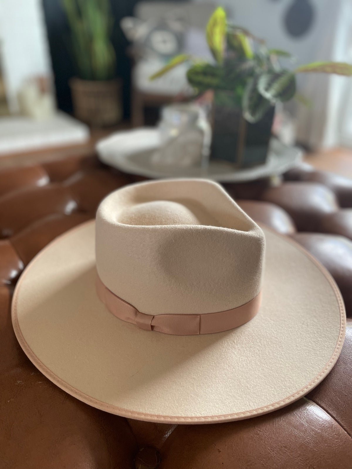 NWT Lack Of Color Ivory Rancher Hat