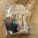 TXT SANCTUARY POPUP Photocard Case Yeonjun