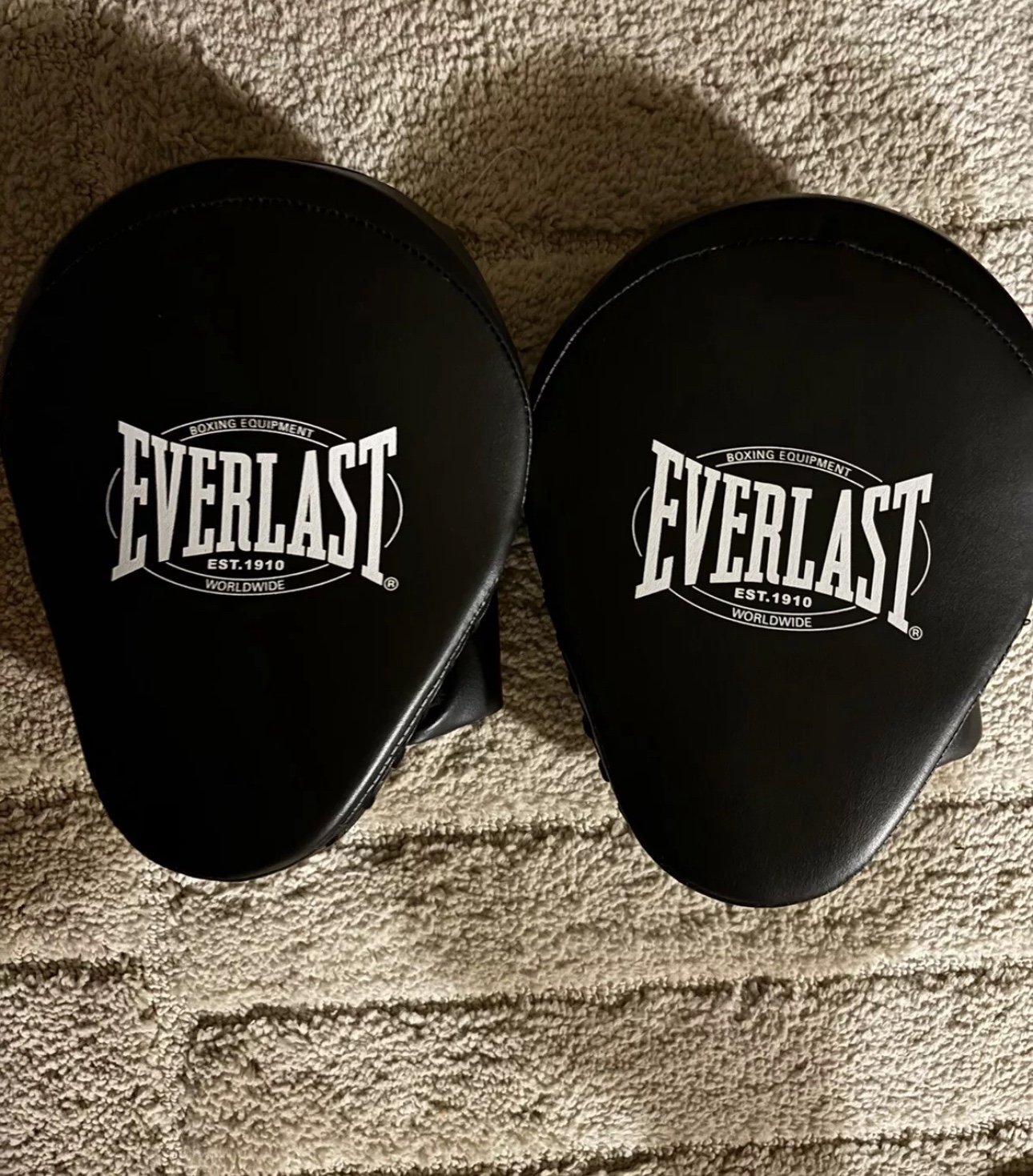 Everlast 1910 Focus Mitts - Black