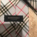 Burberry SilkTie