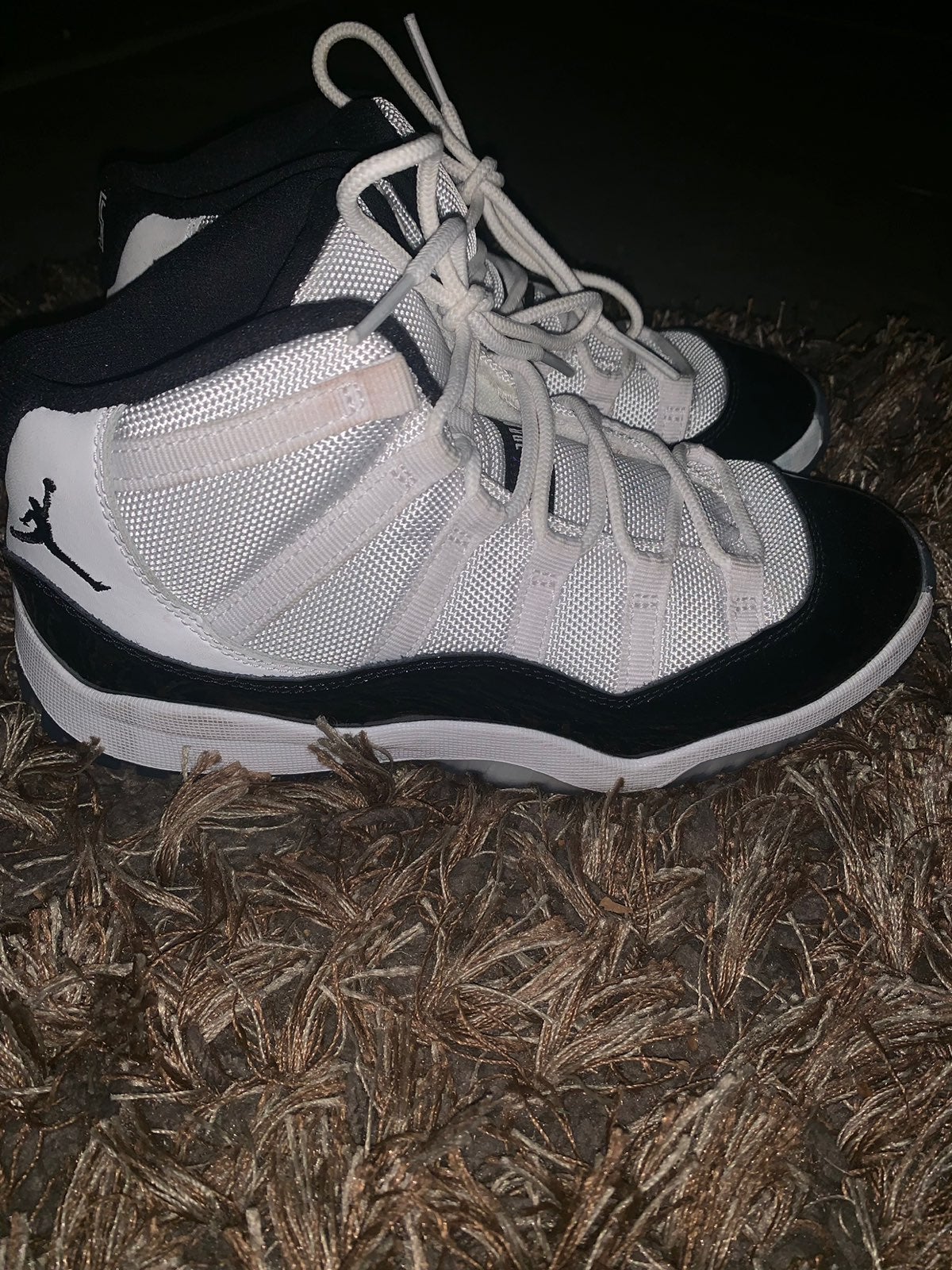 Jordan concord 11