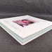 Nasty Galaxy by Sophia Amoruso (SIGNED Hardcover 2016) Photography History
