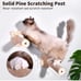 cat wall shelves